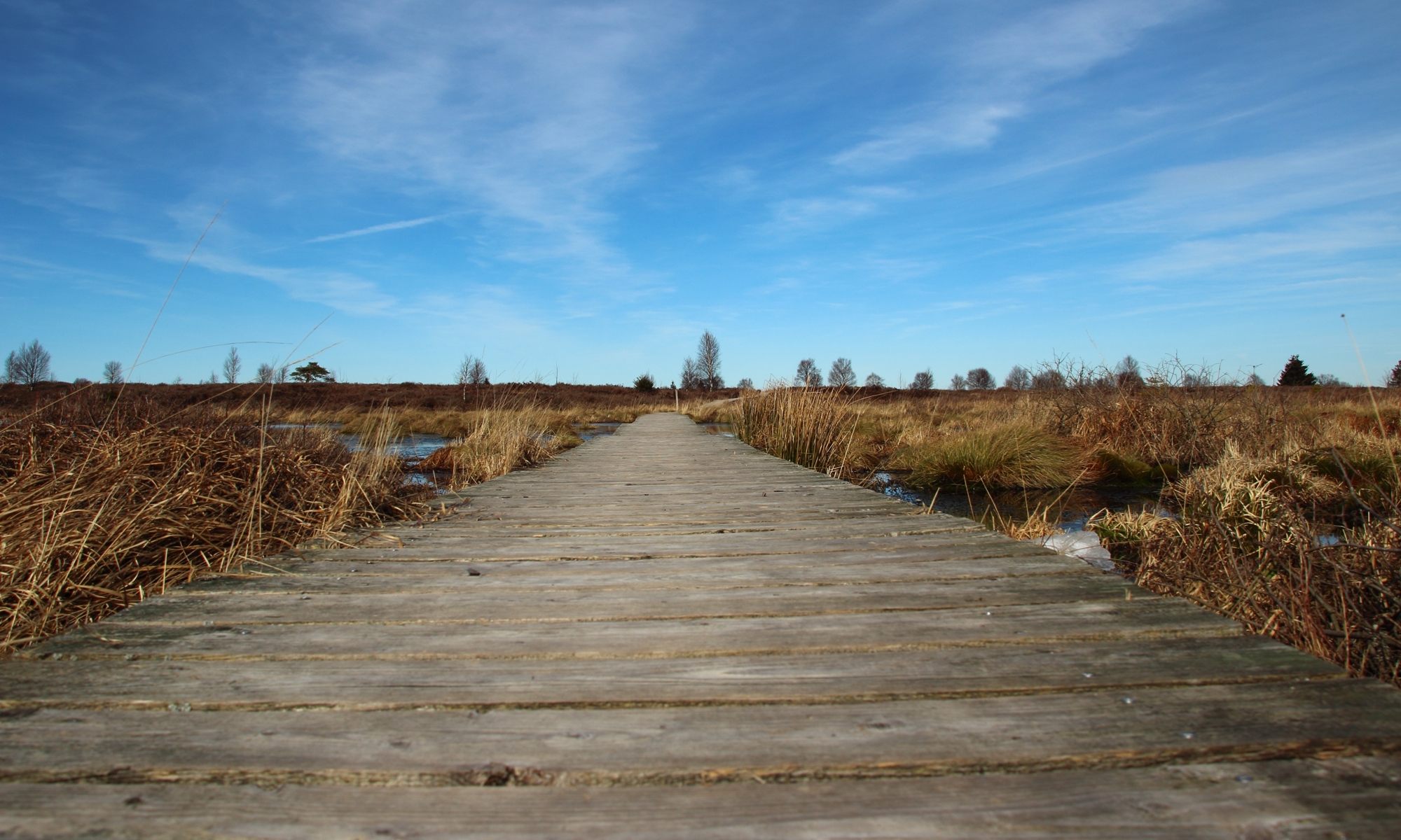 Path